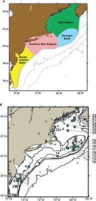 COI Metabarcoding of Zooplankton Species Diversity for Time-Series Monitoring of the NW Atlantic Continental Shelf